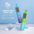 Evo 4500 Puffs 12 мл-распылитель оригинал электронная сигарета